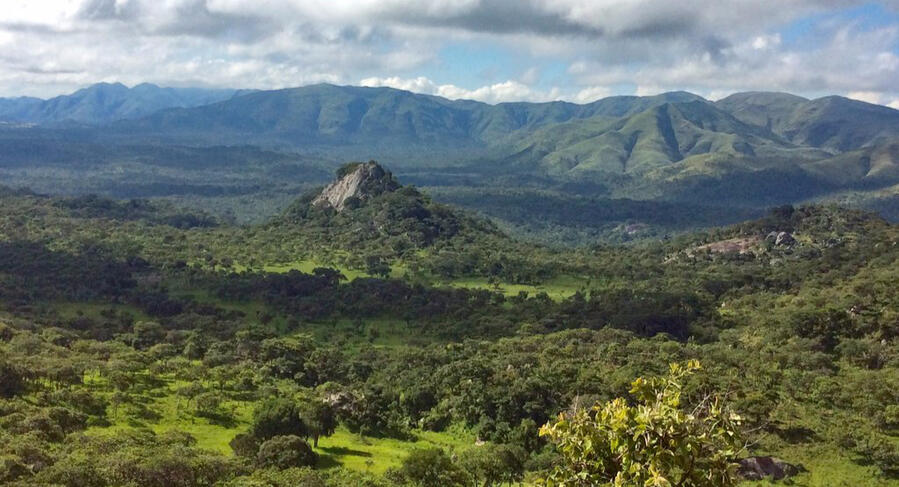 Tracking Dr. Jackson in Africa